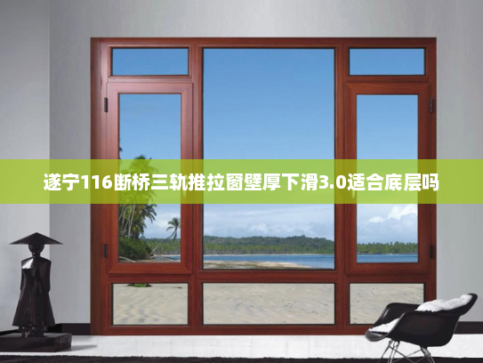 遂宁116断桥三轨推拉窗壁厚下滑3.0适合底层吗