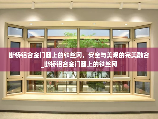 断桥铝合金门窗上的铁丝网，安全与美观的完美融合_断桥铝合金门窗上的铁丝网