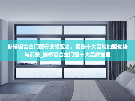 断桥铝合金门窗行业领军者，揭秘十大品牌加盟优势与前景_断桥铝合金门窗十大品牌加盟