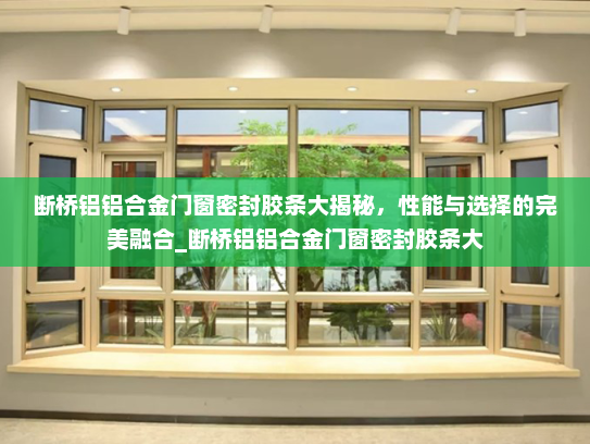 断桥铝铝合金门窗密封胶条大揭秘，性能与选择的完美融合_断桥铝铝合金门窗密封胶条大